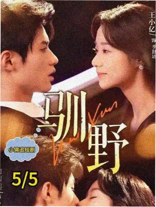 败犬女主太多了 新番动漫免费看封面